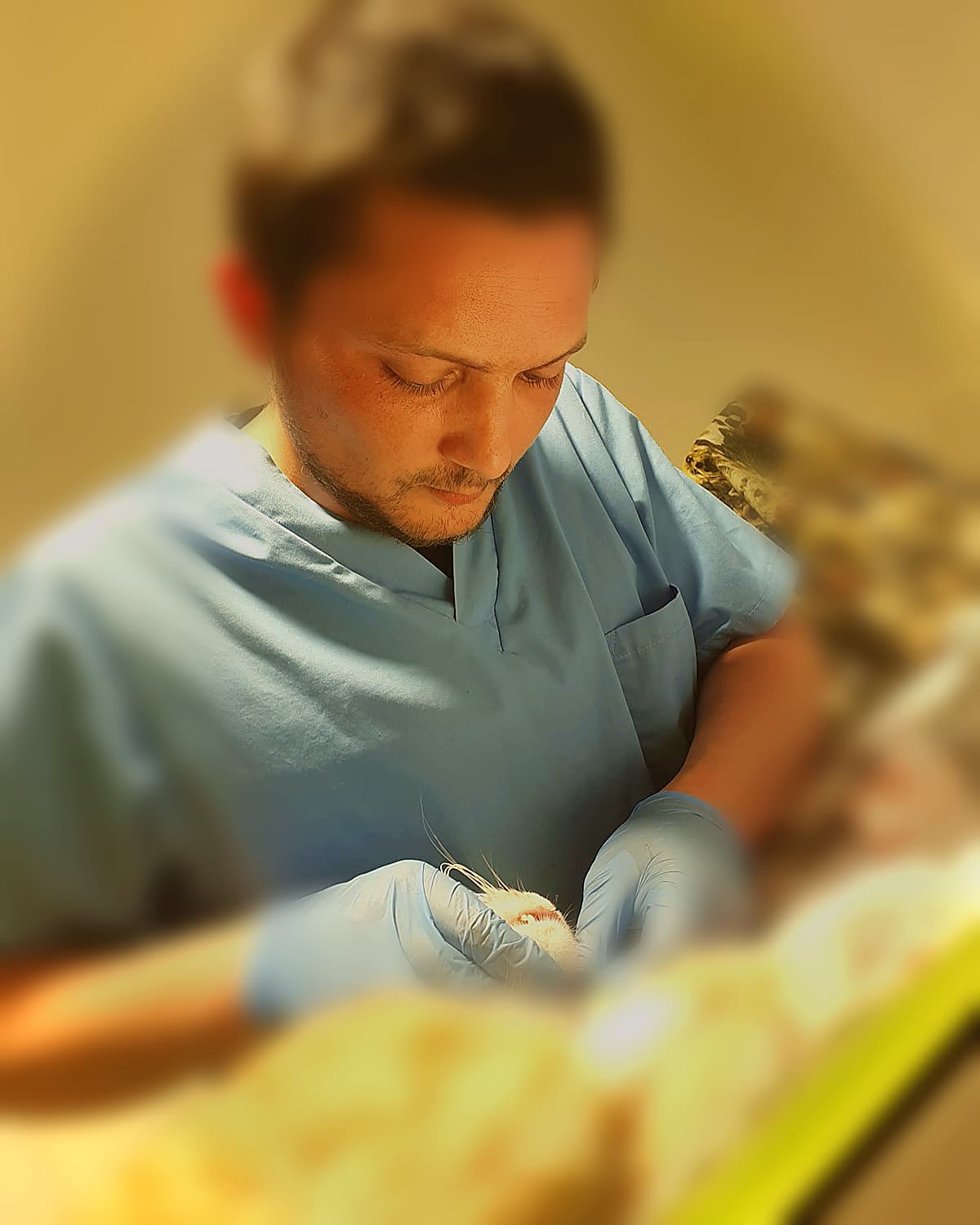 Krzysztof Regulski podczas spokojnej pracy z kotem